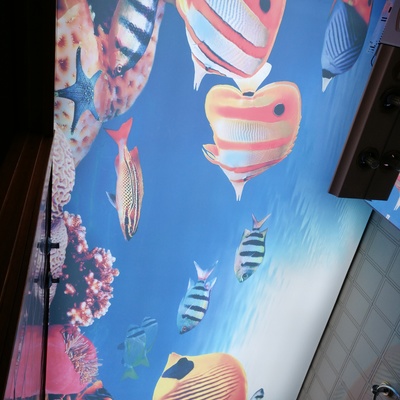 Techo tensado,pladur,pintura