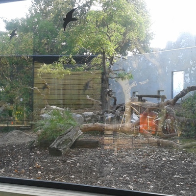 Diseño y realización del proyecto de paisajismo en el cercado 