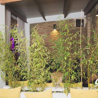 Proyecto de Reforma y Acondicionamiento de PUB