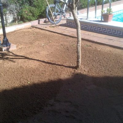 Plantación de césped