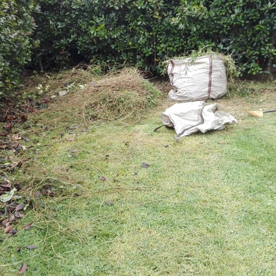 Poner el jardín a puesta a punto