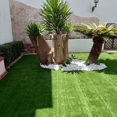 Antes y después renovación jardín