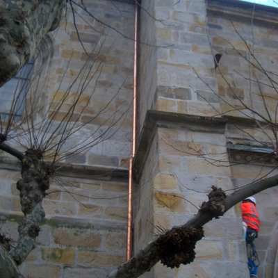 Trabajos verticales en Basilica de Begoña