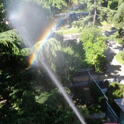 Tratamientos fitosanitarios en Madrid