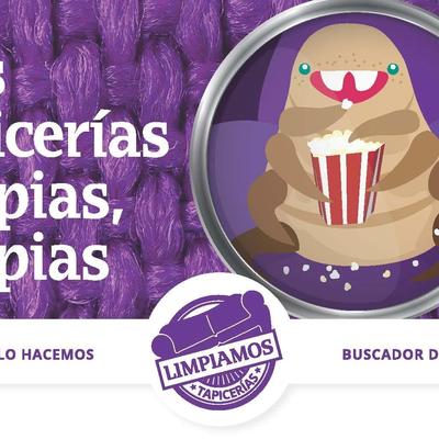 Limpieza de tapicerias