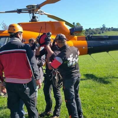 Tala de chopos con helicóptero 