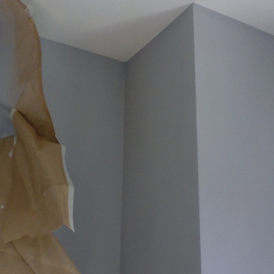 Eliminacion de gotelet, alisado de las paredes y pintura color/blanco en Madrid