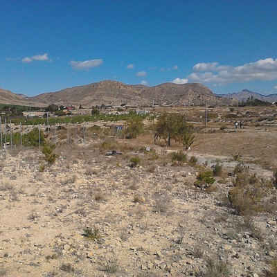 Valoración De Parcela Rústica Como Prueba Pericial