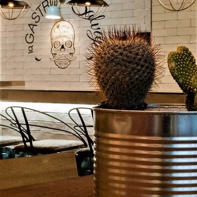 Vinilo y lamparas fuelle de barra