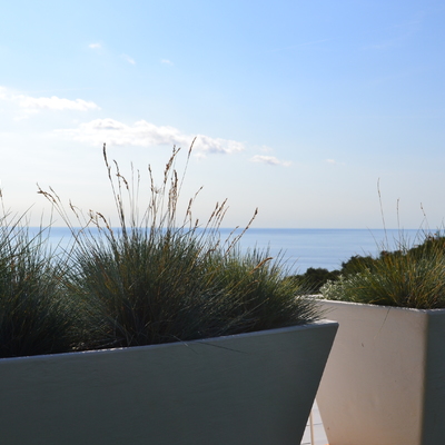 Vista detalle jardineras