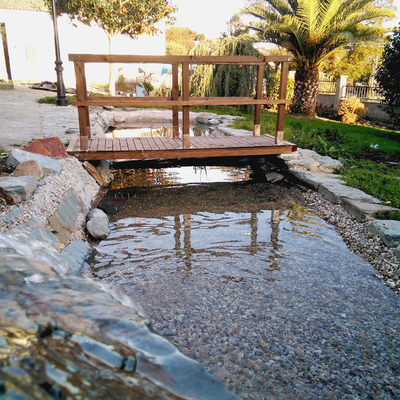 VISTA GENERAL PUENTE