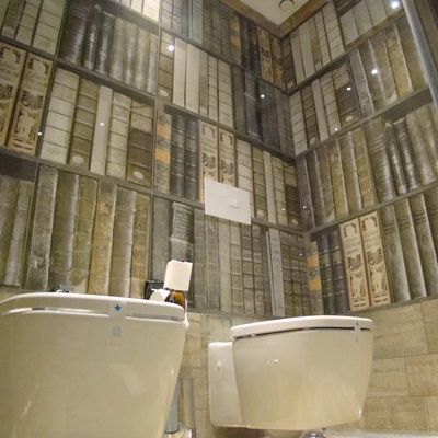 Revestimiento de excusado en hotel temático