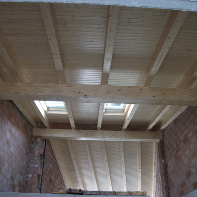 Cubierta Ligera con Velux