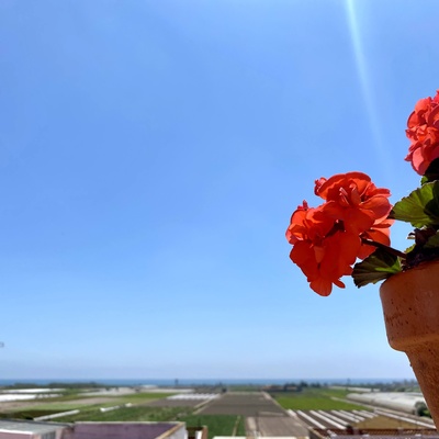 #ProyectoRoca Home Staging Express