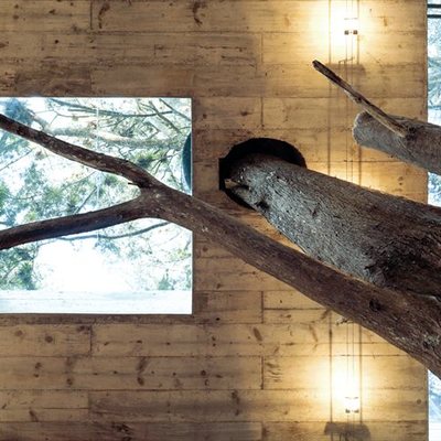 Vivienda de diseño en el bosque