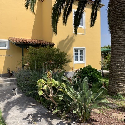 VVDA. Unifamiliar en La Laguna