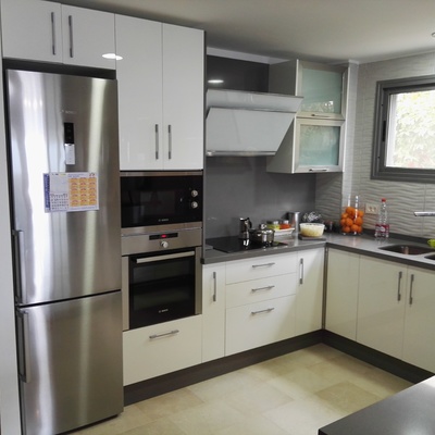 Zona coccion y frigorifico.