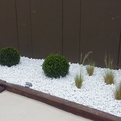 Zona jardinera lateral (foto 4)