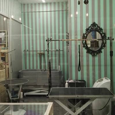 Zona peluquería canina