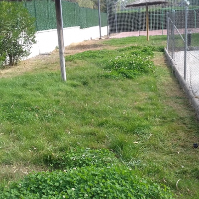 comunidad de propietarios, césped piscina