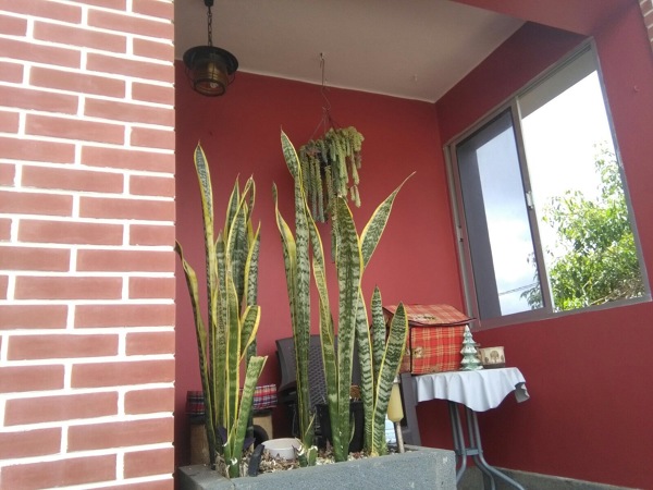 Pintura terraza interior vivienda