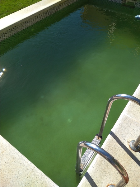 Piscina con agua verde