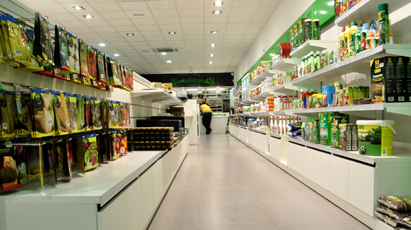 Sweet Seeds - VITALE