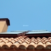 Instalación De Placas Solares En Madrid