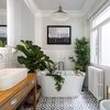 Baño con plantas