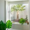 Baño con plantas