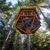 casa en árbol autoconstruida con materiales reciclados