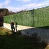 cercado con seto artificial decorativo sobre muro