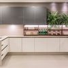 Cocina moderna con plantas decorativas