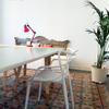 Coworking Palma