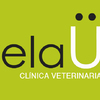 Diseño Logo 