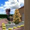 Diseño de jardín en 3d