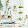 Dormitorio con detalles florales y plantas
