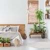 Dormitorio de estilo colonial con plantas