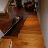 escalera + tobogan