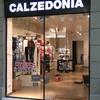 escaparate calzedonia
