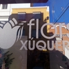 FLORS XÚQUER