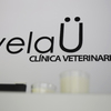 Interior Clínica Veterinaria