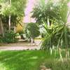 Jardinería y Paisajismo