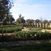 JARDINES DEL CUARTON