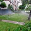 mantenimiento del jardin 4