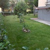 mantenimiento del jardin 6