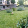 mantenimiento del jardin 8