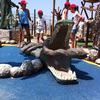 MiniGolf Pirates Sitges