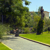 Parque de Los Juncos