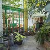 Patio con ventanas verdes